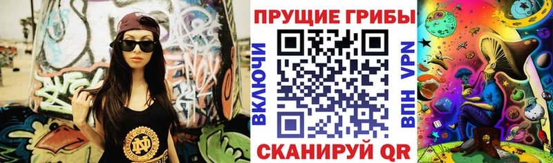 Псилоцибиновые грибы GOLDEN TEACHER  дарнет шоп  Дзержинский 