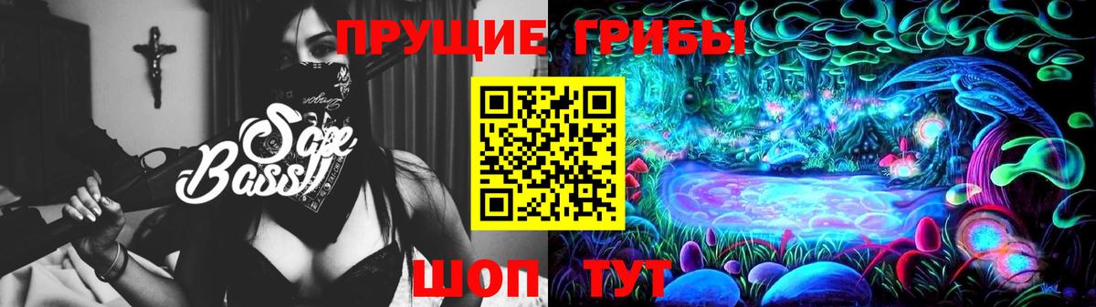 Галлюциногенные грибы Psilocybe Дзержинский